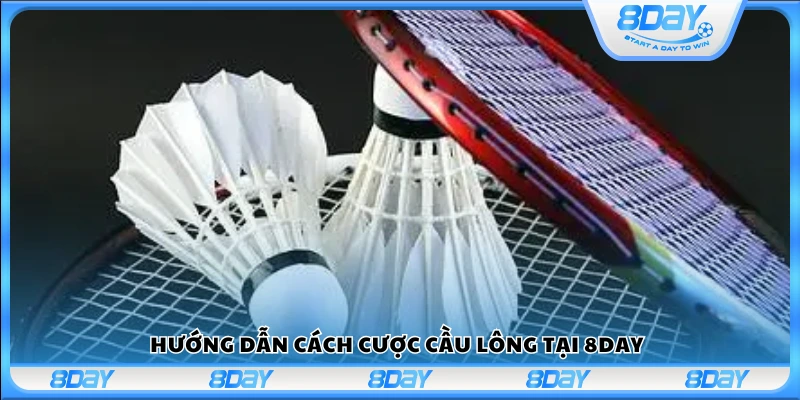 Cách tham gia đặt cược môn cầu lông tại 8 Day