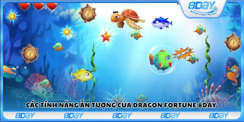 Các tính năng ấn tượng của Dragon Fortune 8Day