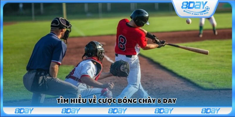 Tìm hiểu về cược bóng chày 8 Day