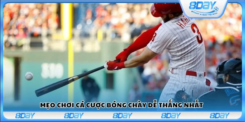 Mẹo chơi cá cược bóng chày dễ thắng nhất