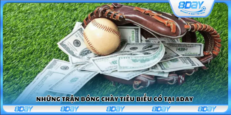 Những trận bóng chày tiêu biểu có tại 8day
