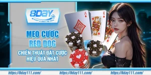 Mẹo cược Red Dog – Chiến thuật đặt cược hiệu quả nhất
