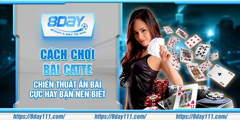 Cách chơi bài Catte – Chiến thuật ẩn bài cực hay bạn nên biết