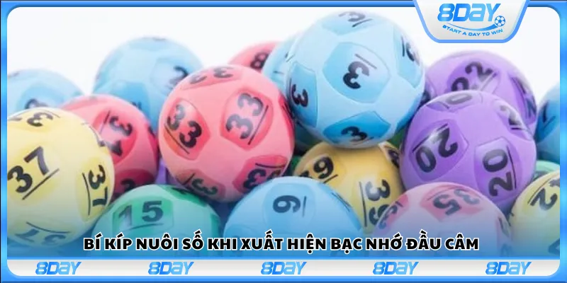 Bí kíp nuôi số khi xuất hiện bạc nhớ đầu câm