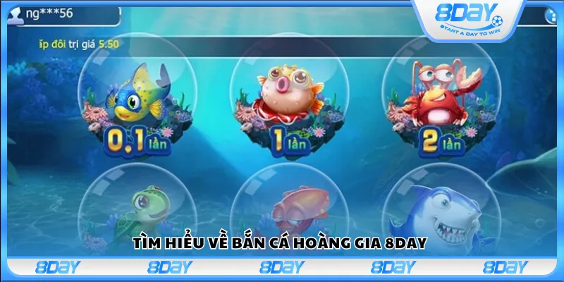 Tìm hiểu về Bắn cá hoàng gia 8day