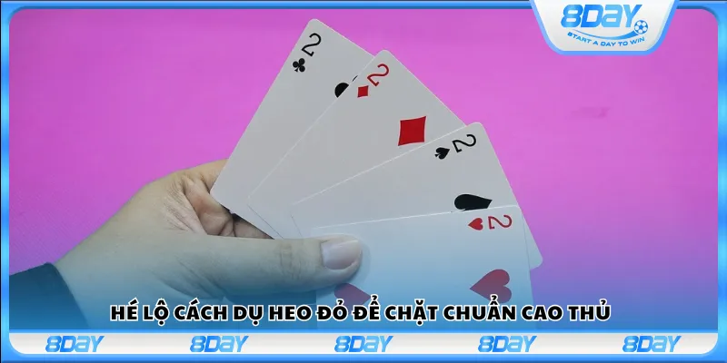 Hé lộ cách dụ heo đỏ để chặt chuẩn cao thủ