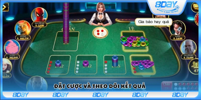 Thao tác đặt cược và theo dõi ván chơi