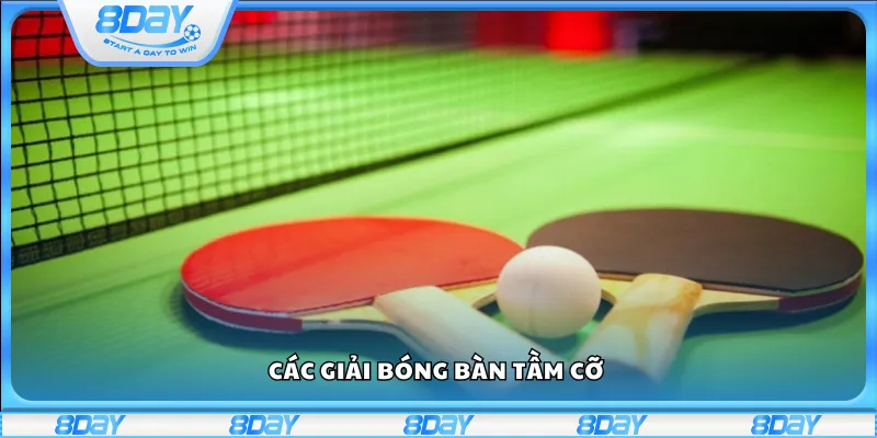 Các giải bóng bàn tầm cỡ