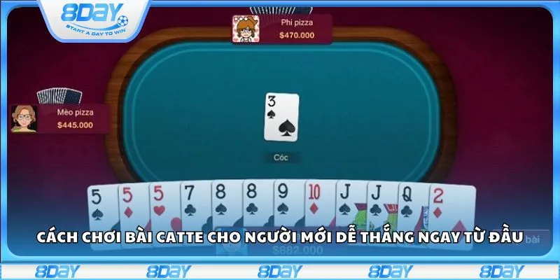 Cách chơi bài Catte cho người mới bắt đầu
