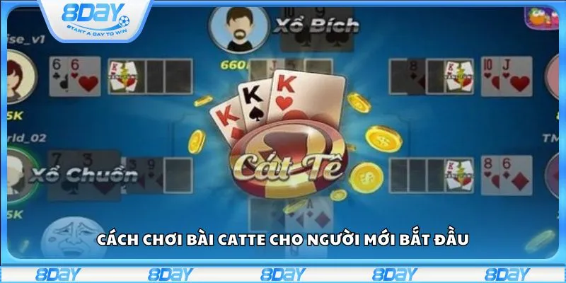 Cách chơi bài Catte cho người mới dễ thắng ngay từ đầu