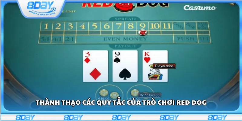 Thành thạo các quy tắc của trò chơi Red Dog